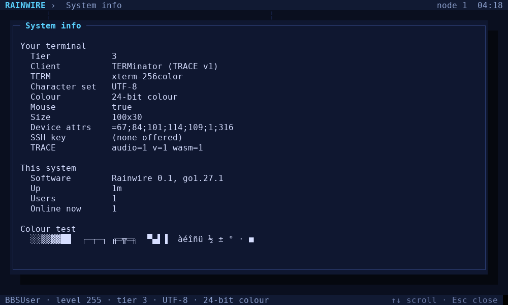 System info showing detected terminal tier, character set, colour, mouse and size
